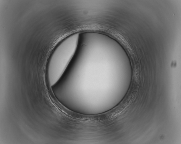 X0000095540434200712141027
