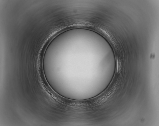 X0000095540435200712141027