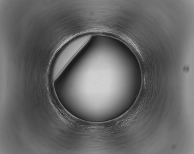 X0000095540436200712141027