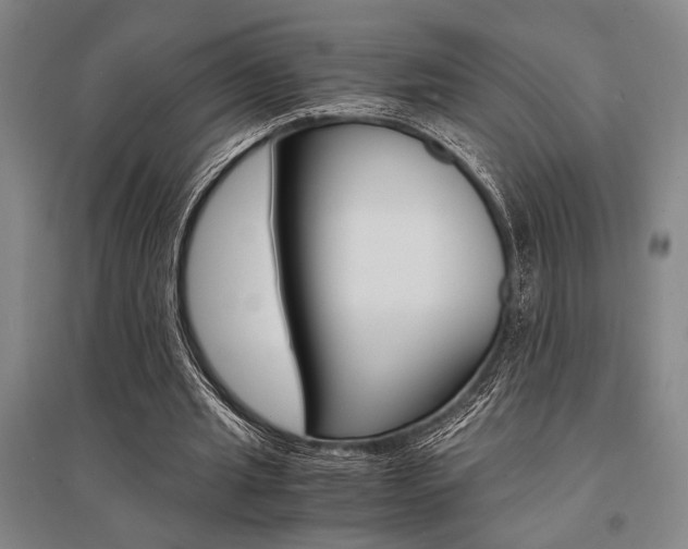 X0000095540437200712141027