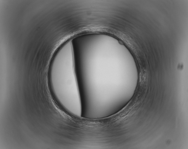 X0000095540438200712141027