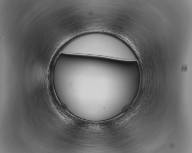 X0000095540439200712141027