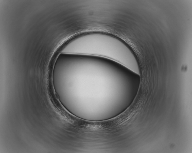 X0000095540440200712141027