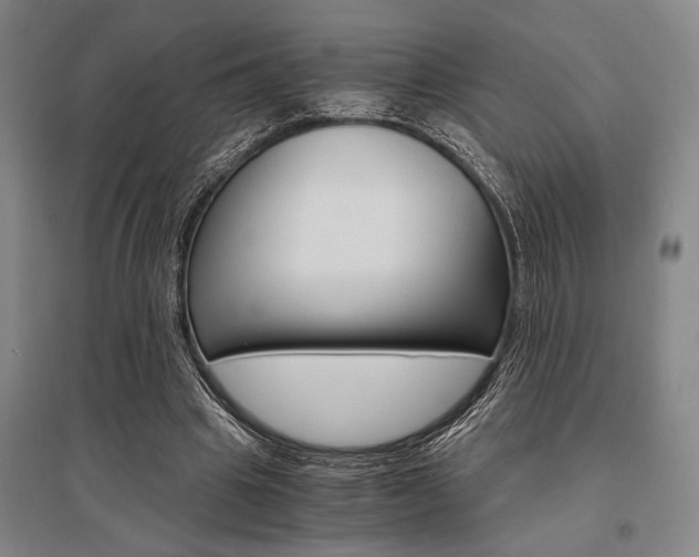 X0000095540441200712141027