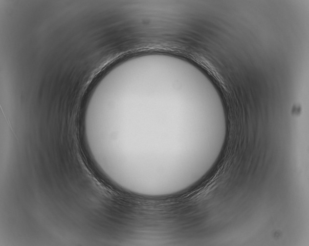 X0000095540444200712141027