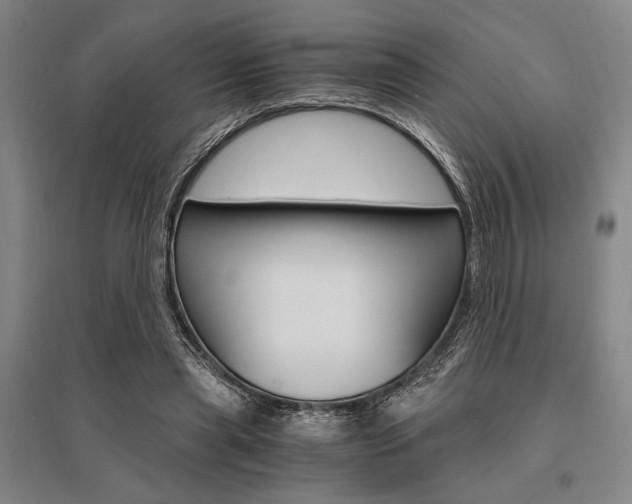 X0000095540445200712141027