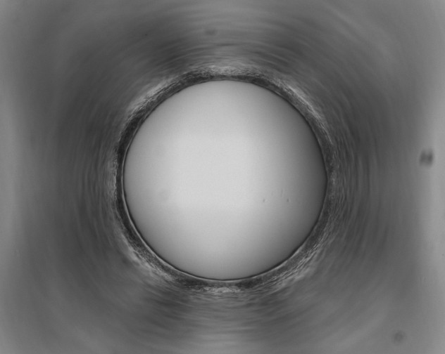 X0000095540446200712141027