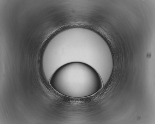 X0000095540448200712141027