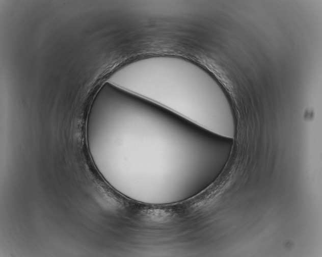 X0000095540449200712141027