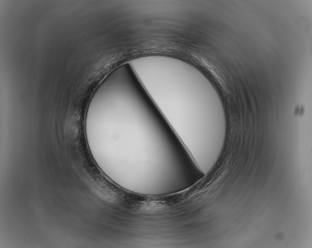 X0000095540451200712141027