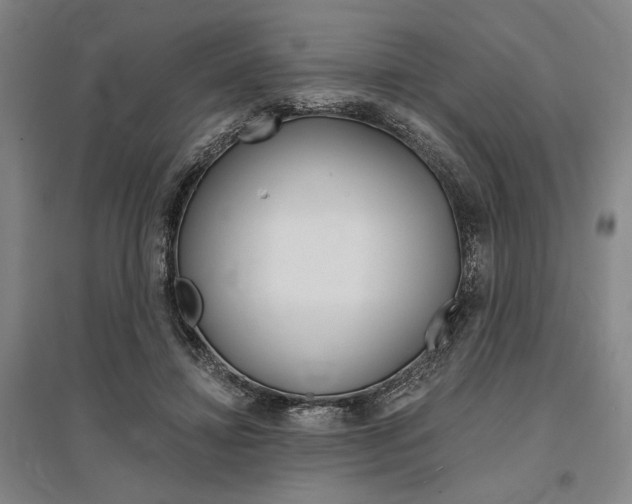 X0000095540452200712141027