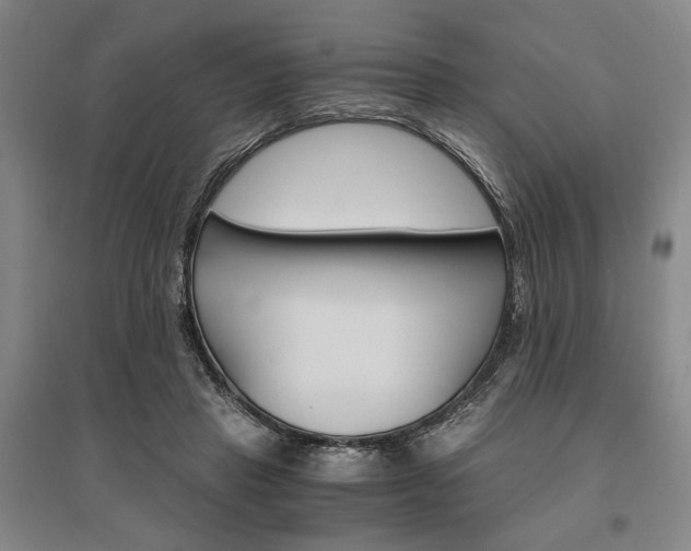 X0000095540453200712141027