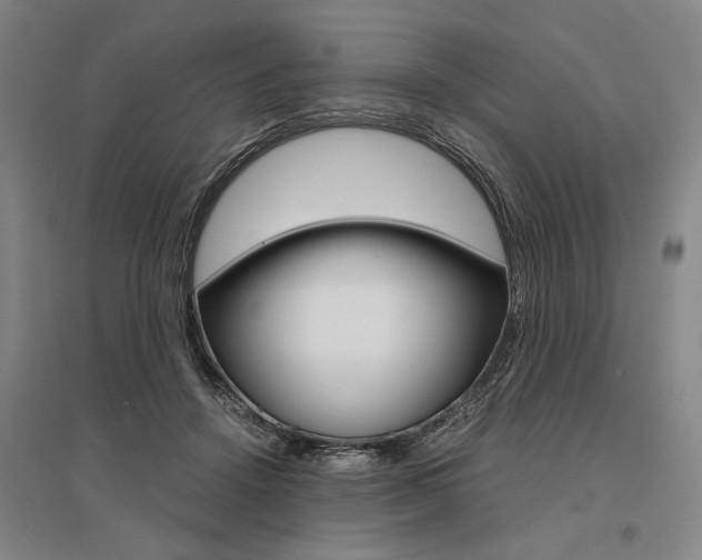 X0000095540456200712141027