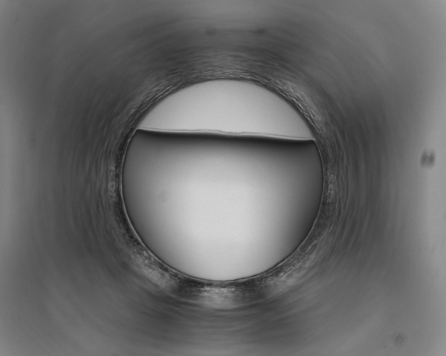 X0000095540457200712141027