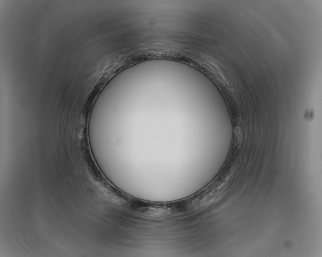 X0000095540458200712141027