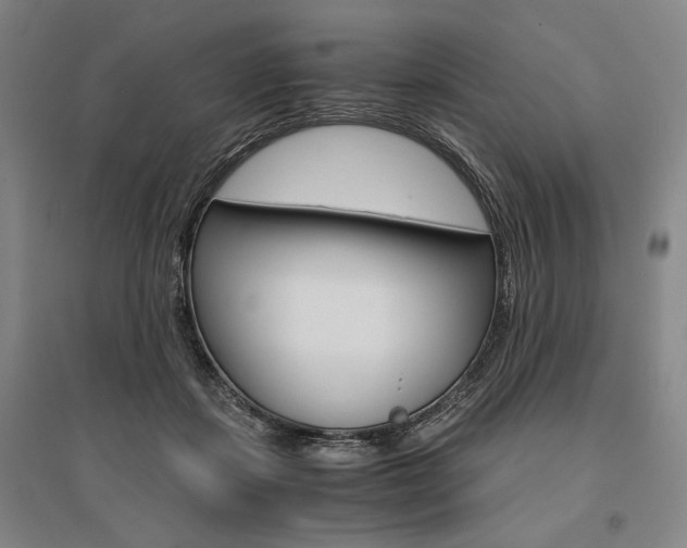 X0000095540459200712141027