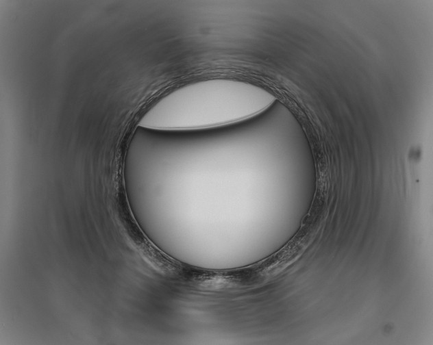 X0000095540460200712141027