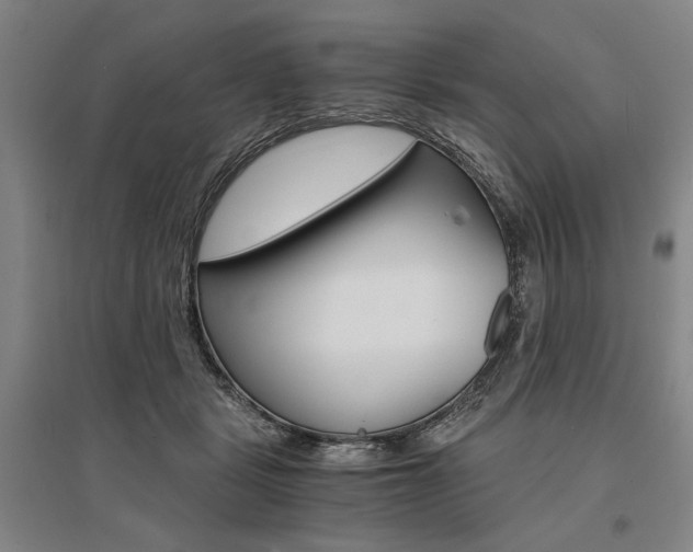 X0000095540461200712141027