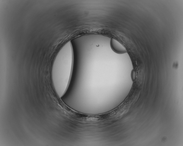 X0000095540462200712141027
