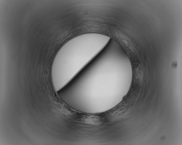 X0000095540463200712141027