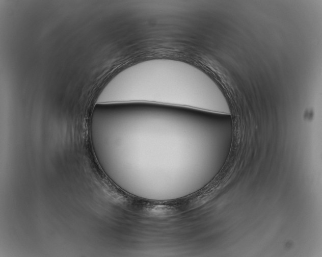 X0000095540467200712141027