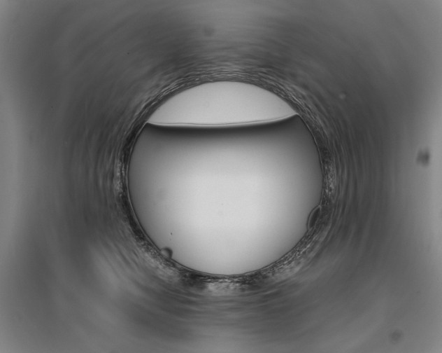 X0000095540470200712141027
