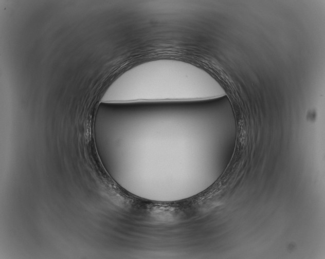 X0000095540471200712141028