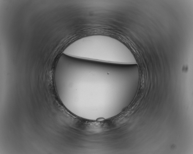 X0000095540473200712141028