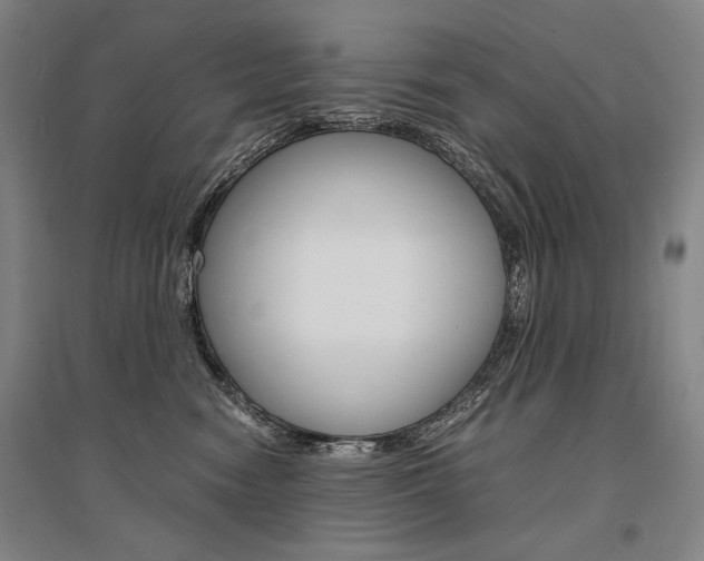 X0000095540474200712141028
