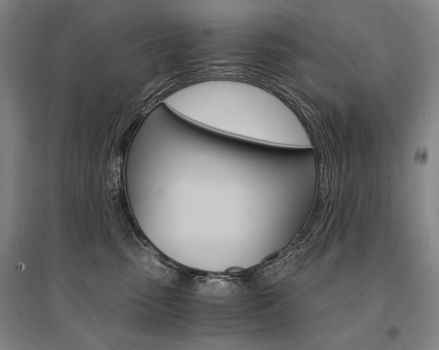 X0000095540475200712141028