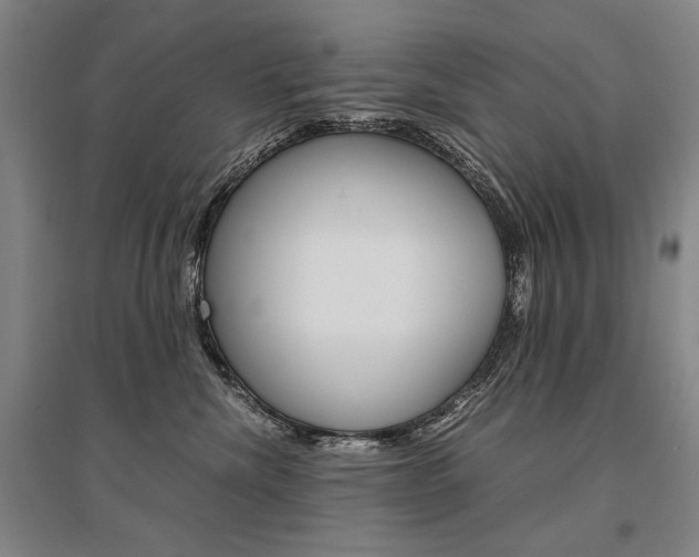 X0000095540476200712141028