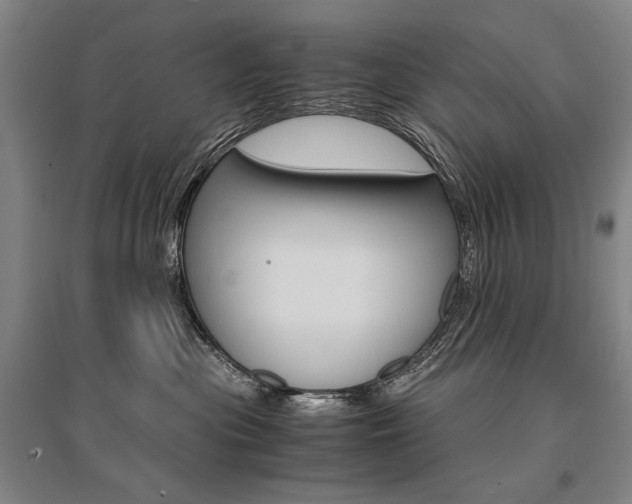 X0000095540477200712141028