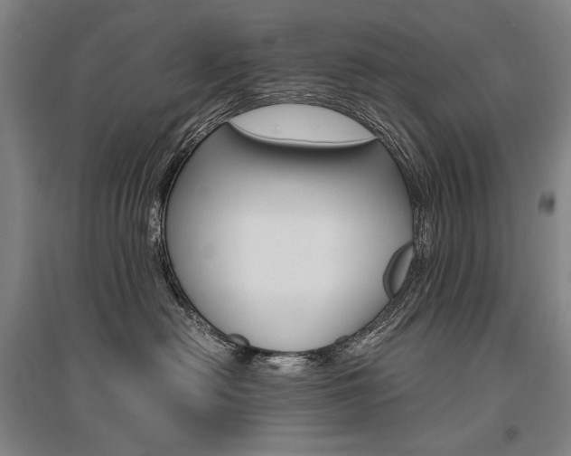 X0000095540478200712141028