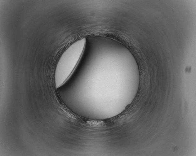 X0000095540480200712141028