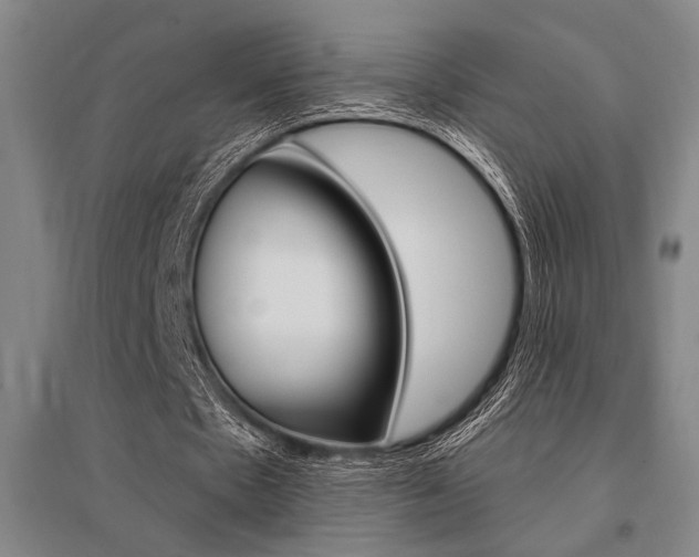 X0000095540481200712141027