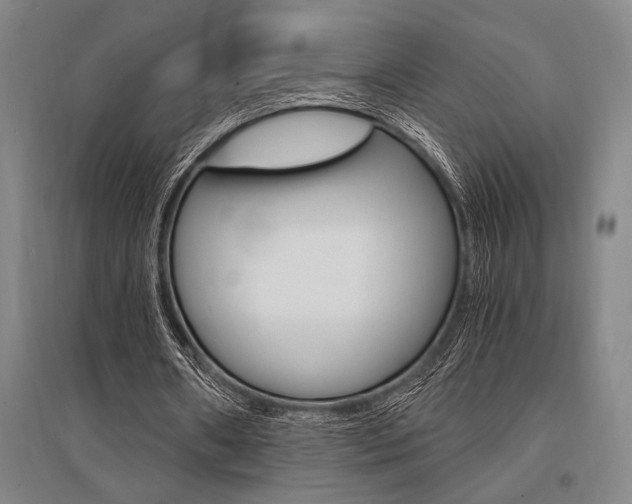 X0000095540482200712141027