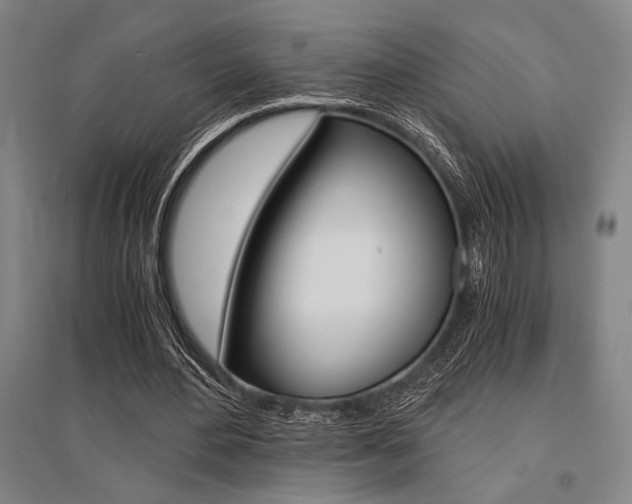 X0000095540484200712141027