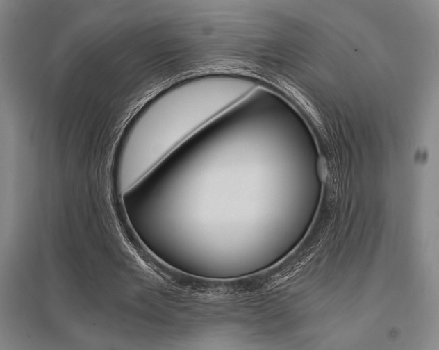 X0000095540485200712141027
