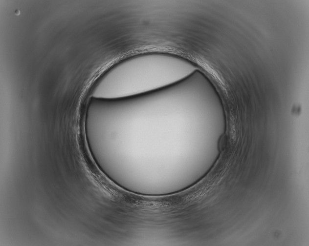 X0000095540486200712141027