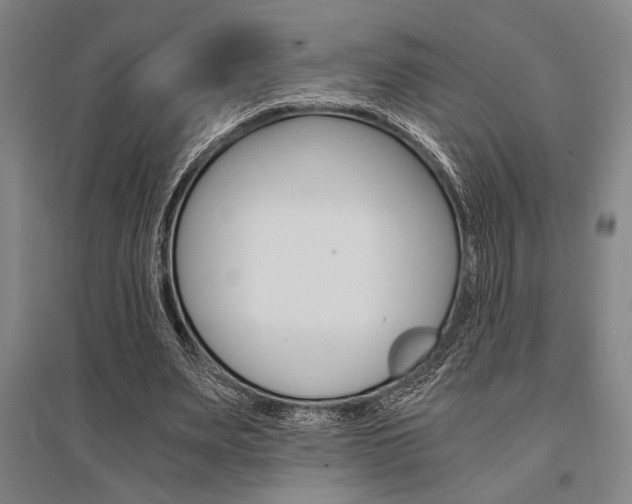 X0000095540487200712141027