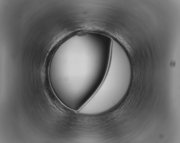 X0000095540488200712141027