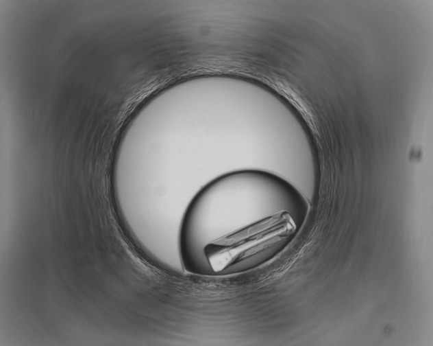 X0000095540489200712141027