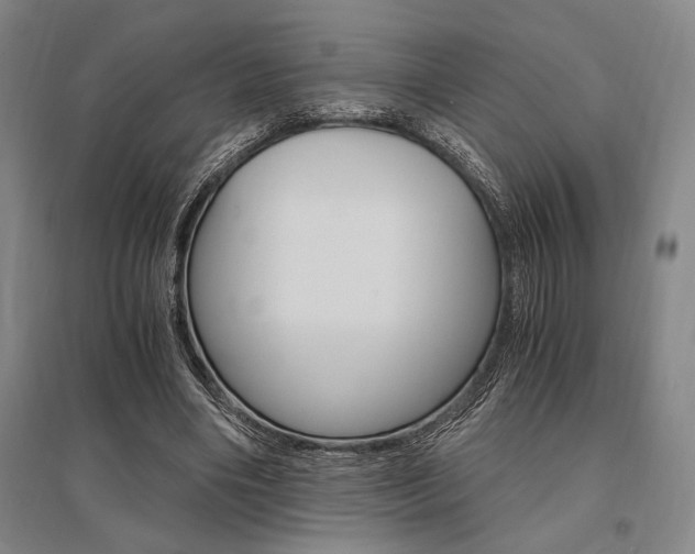 X0000095540490200712141027