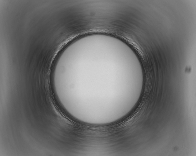 X0000095540492200712141027