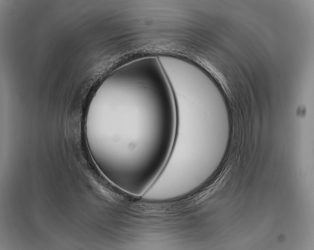X0000095540493200712141027