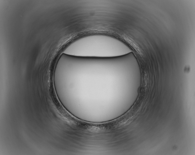 X0000095540494200712141027