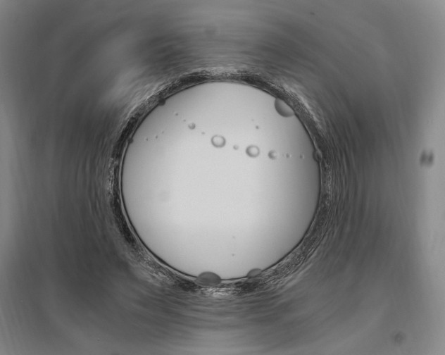 X0000095540495200712141027