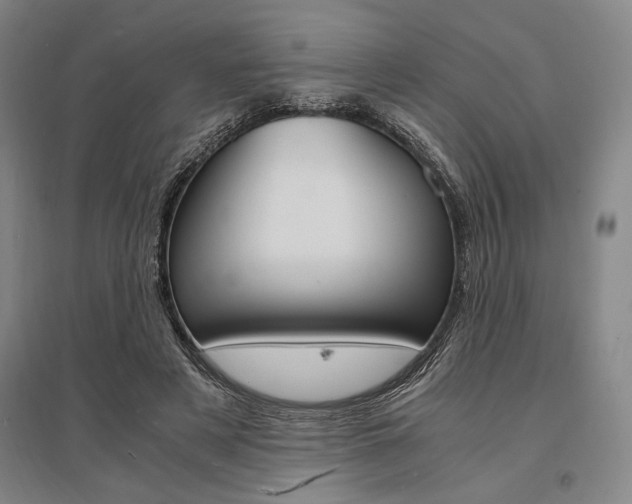 X0000095540497200712141027