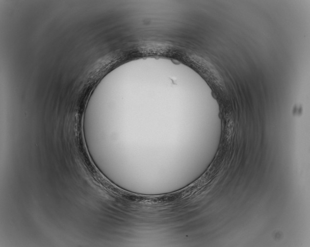 X0000095540498200712141027