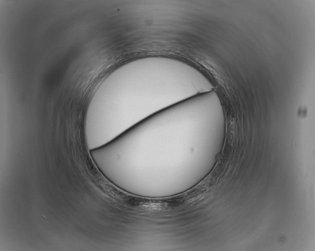 X0000095540499200712141027